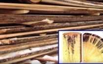 Вентиляция в помещении для сушки досок