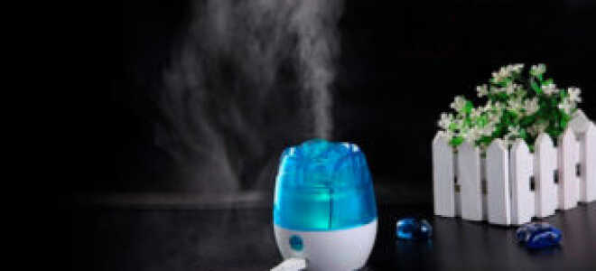 Принцип работы и предназначение увлажнителя воздуха