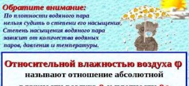 Что такое влажность воздуха и какой она должна быть в комнате