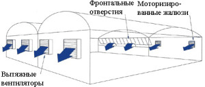 Система тепличной вентиляции