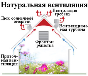 Особенности естественной вентиляции в теплице